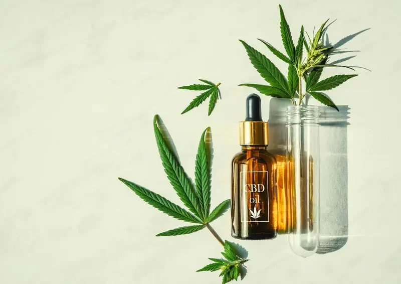 Huile de CBD quels avantages pour la santé et où en trouver 